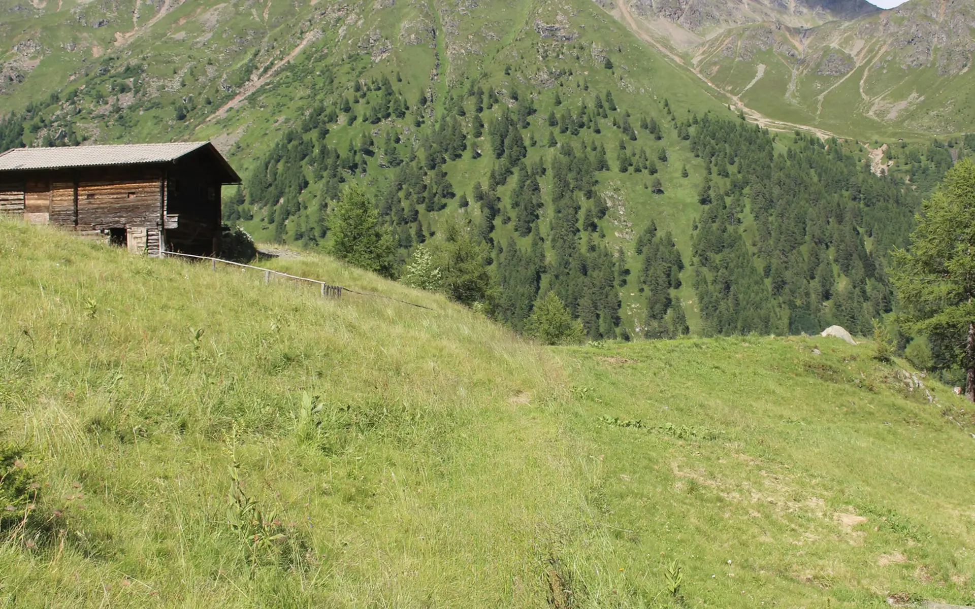 Wandern im Kristeinertal